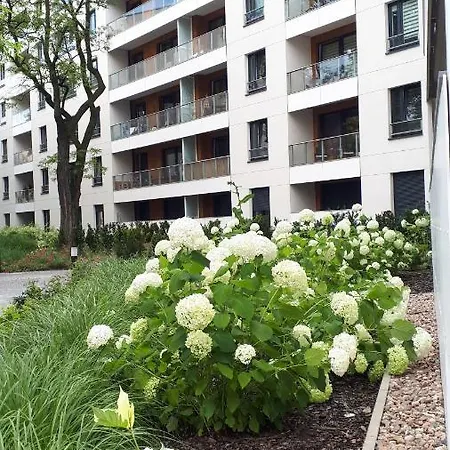 Vena Apartment Breslau