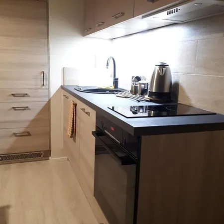 Vena Apartment Breslau
