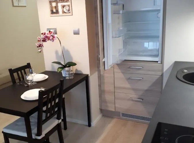 Vena * Вроцлав